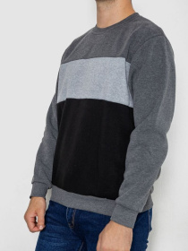 Свитшот Ager модель У-1130804::000000072 Фото