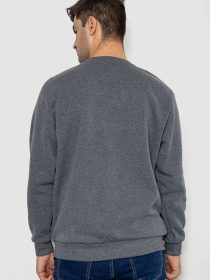 Свитшот Ager модель У-1130804::000000072 Фото