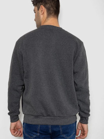 Свитшот Ager модель У-1130804::000000087 Свитшот Ager модель У-1130804::000000087 Фото