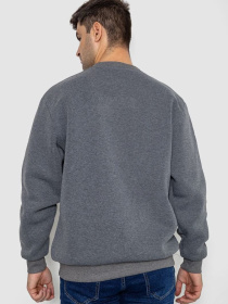 Свитшот Ager модель У-1130803::000000072 Фото