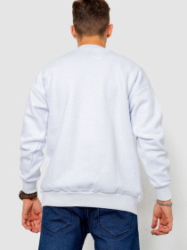 Світшот Ager модель У-1130642::000000014 Фото