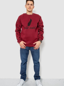 Свитшот Ager модель У-1130641::000000029 Фото