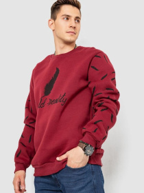 Світшот Ager модель У-1130641::000000029 Фото