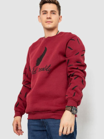 Світшот Ager модель У-1130641::000000029 Фото