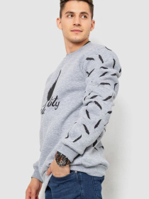 Свитшот Ager модель У-1130641::000000072 Фото