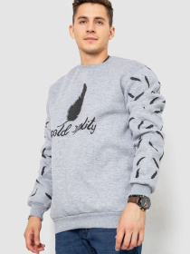 Світшот Ager модель У-1130641::000000072 Фото