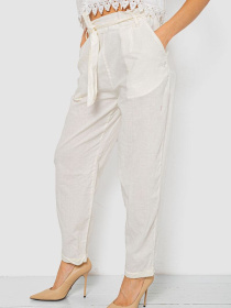 Повседневные штаны Ager модель У-1130659::000000060 Фото