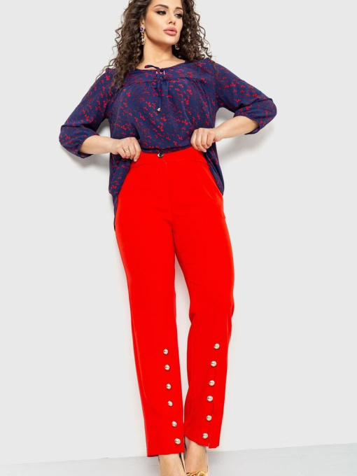 Повседневные штаны Ager модель У-1120402::000000050 Фото