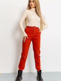 Повседневные штаны Ager модель У-1120878::000000092 Фото