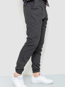 Джоггеры Ager модель У-1123758::000000072 Фото