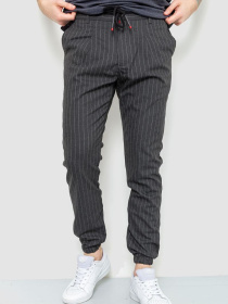 Джоггеры Ager модель У-1123758::000000072 Фото