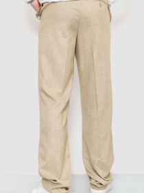 Повседневные штаны Ager модель У-1125676::000000023 Фото