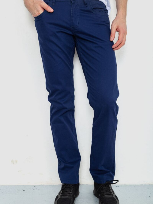 Повседневные штаны Ager модель У-1129525::000000084 Фото