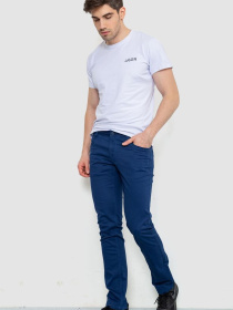 Повседневные штаны Ager модель У-1129524::000000084 Фото