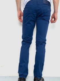 Повседневные штаны Ager модель У-1129524::000000084 Фото