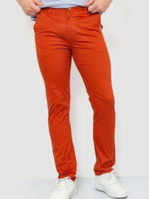 Повседневные штаны Ager модель У-1128011::000000092 Фото