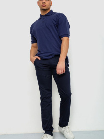 Повседневные штаны Ager модель У-1128360::000000090 Фото