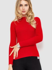 Водолазка Ager модель У-1125410::000000050 Фото