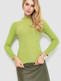 Водолазка Ager модель У-1125410::000000158 Фото