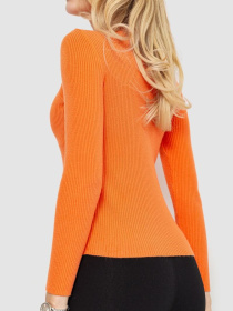 Водолазка Ager модель У-1125410::000000062 Фото