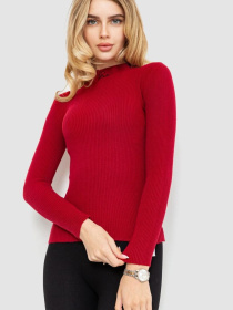 Водолазка Ager модель У-1125409::000000029 Фото