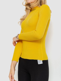 Водолазка Ager модель У-1125409::000000036 Водолазка Ager модель У-1125409::000000036 Фото