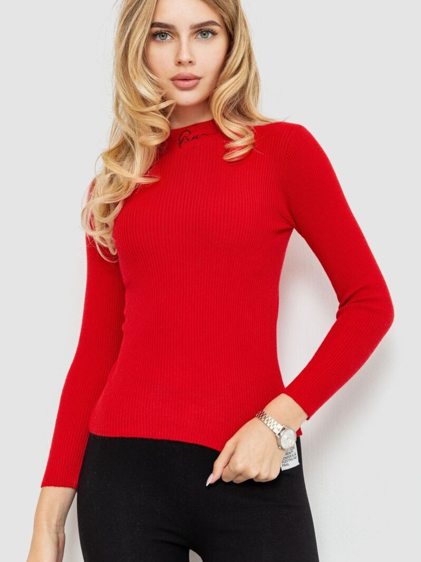 Водолазка Ager модель У-1125409::000000050 Фото