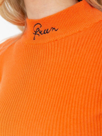 Водолазка Ager модель У-1125409::000000062 Водолазка Ager модель У-1125409::000000062 Фото