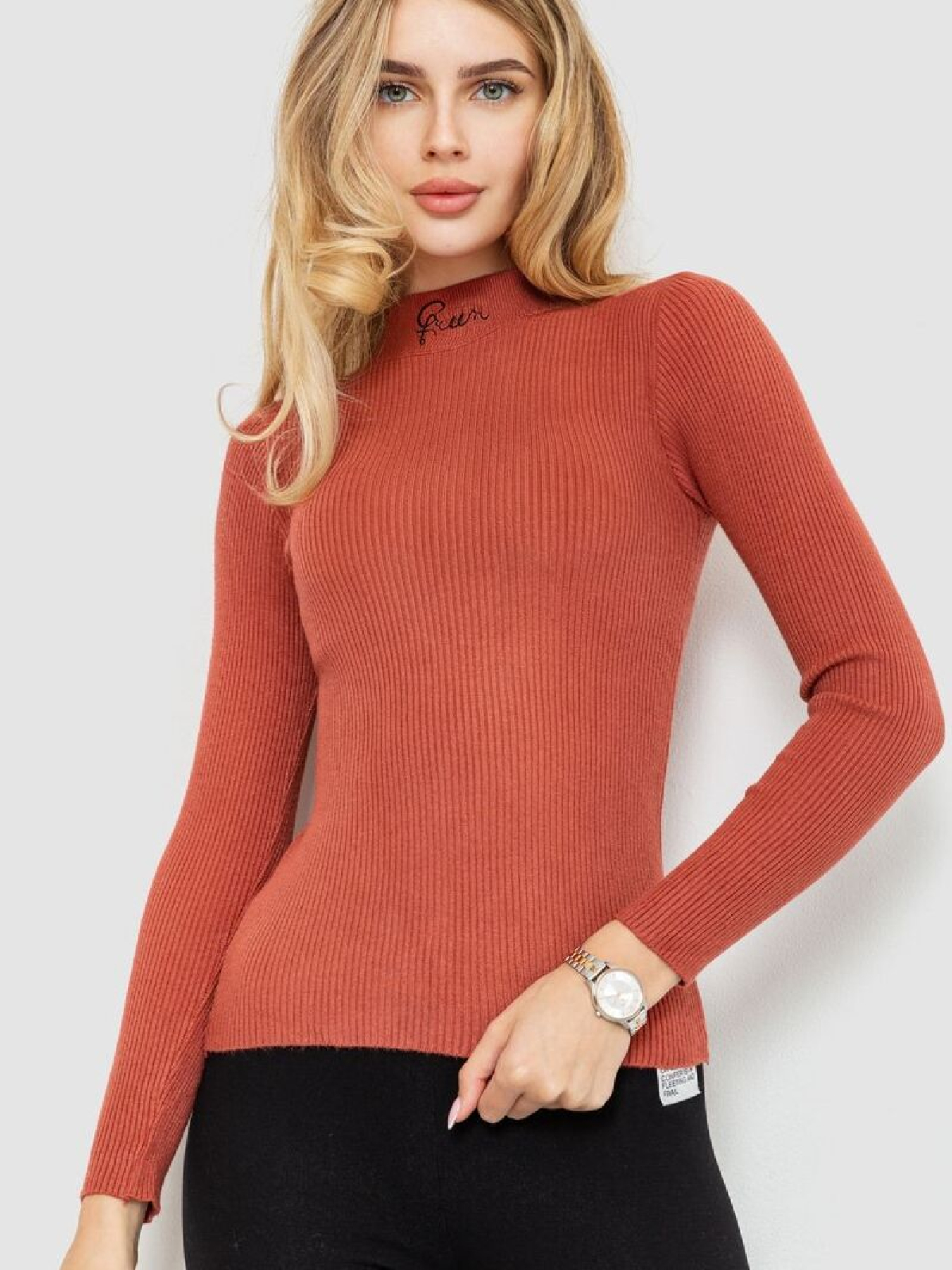 Водолазка Ager модель У-1125409::000000238 Фото