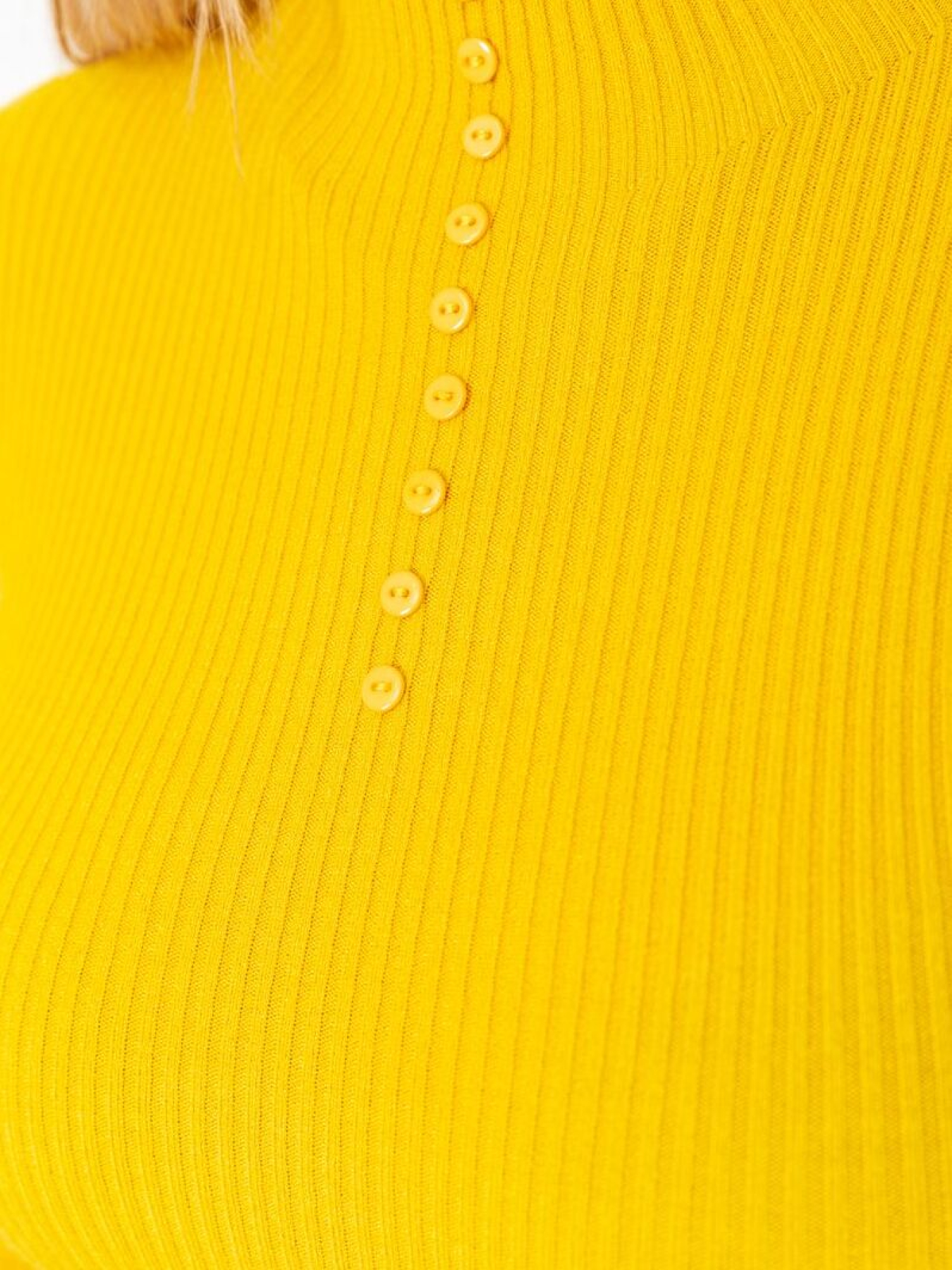 Водолазка Ager модель У-1126210::000000036 Фото