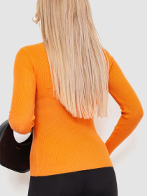 Водолазка Ager модель У-1126210::000000062 Водолазка Ager модель У-1126210::000000062 Фото