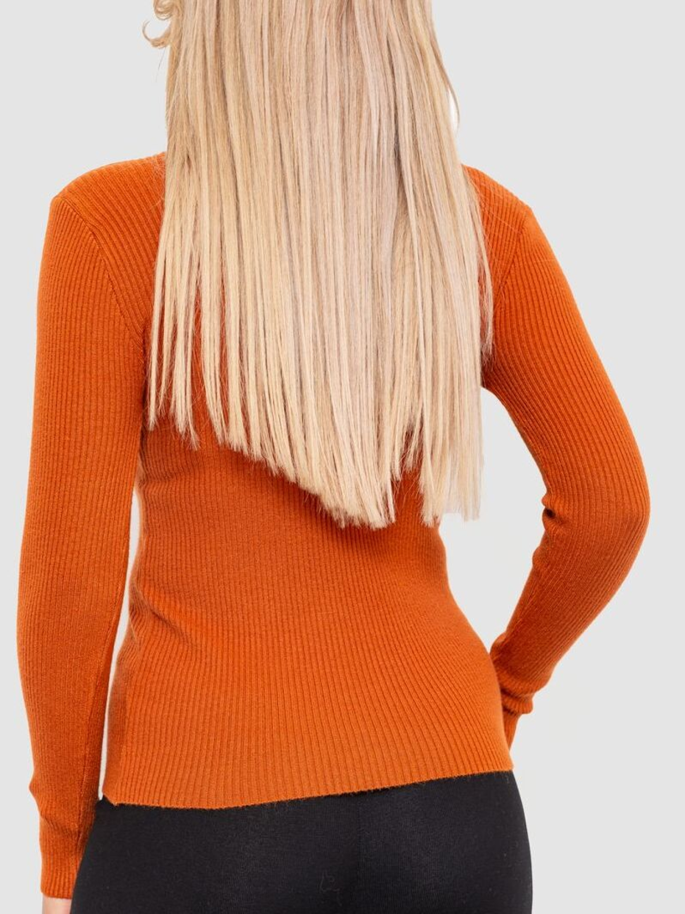 Водолазка Ager модель У-1126210::000000092 Фото