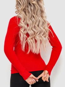 Водолазка Ager модель У-1126211::000000050 Фото