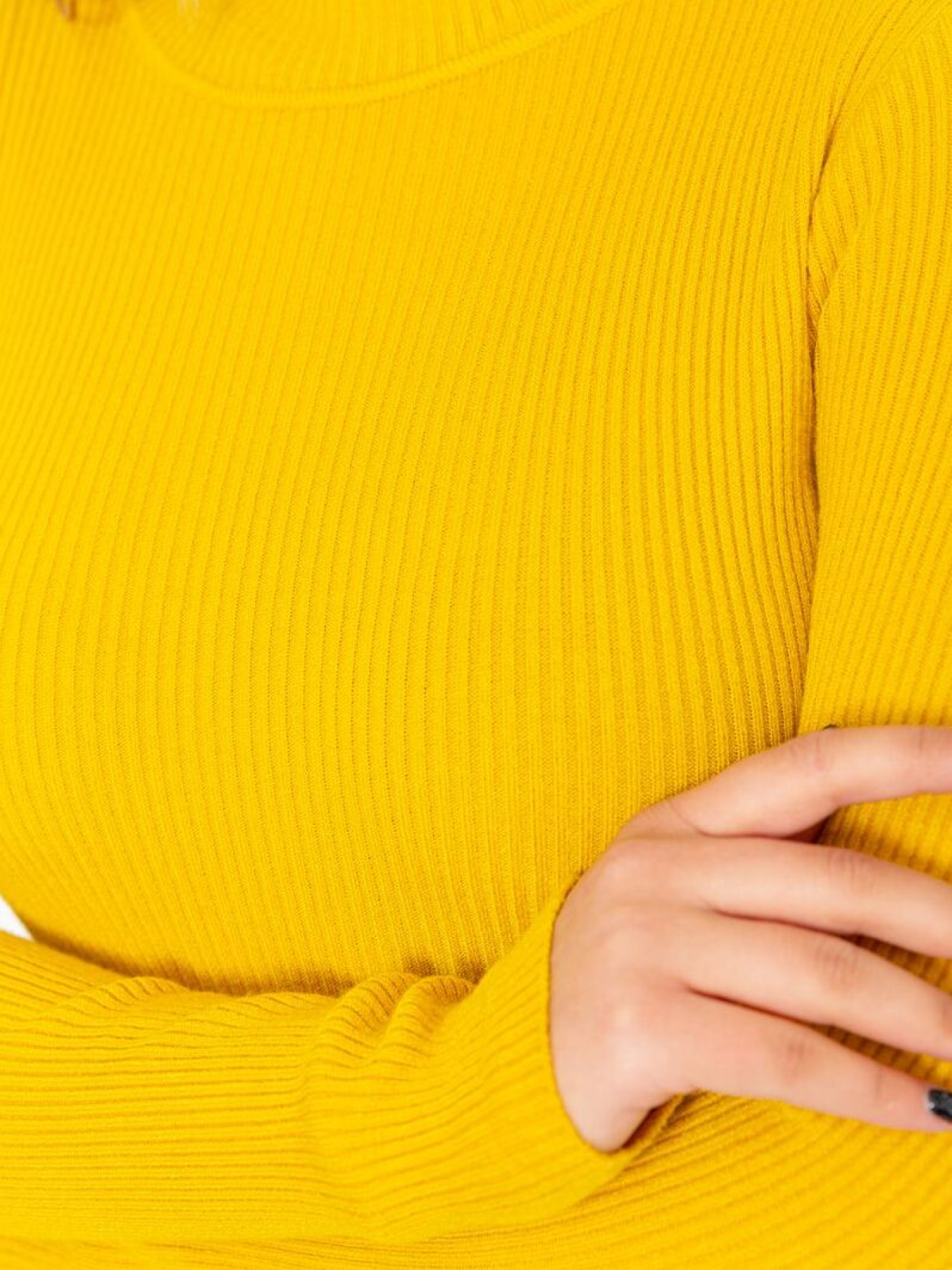 Водолазка Ager модель У-1127107::000000036 Фото