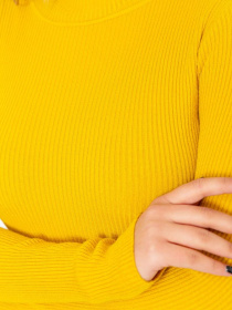 Водолазка Ager модель У-1127107::000000036 Фото