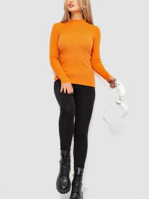 Водолазка Ager модель У-1127107::000000062 Фото