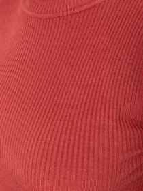 Водолазка Ager модель У-1127107::000000238 Фото