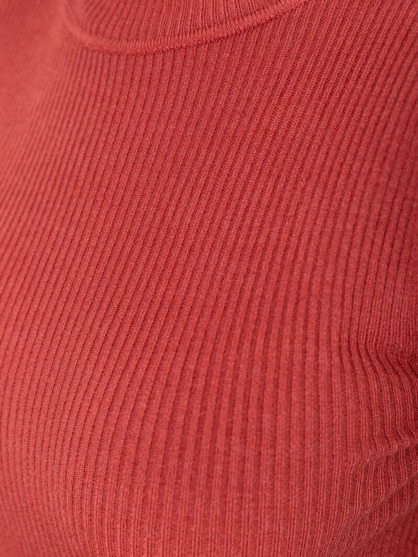 Водолазка Ager модель У-1127107::000000238 Фото