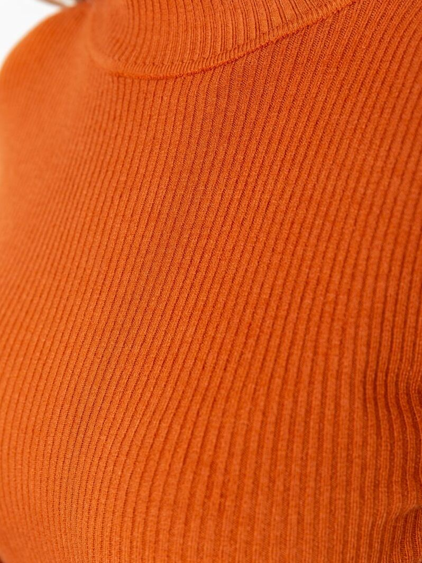 Водолазка Ager модель У-1127107::000000092 Фото