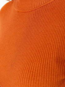 Водолазка Ager модель У-1127107::000000092 Фото