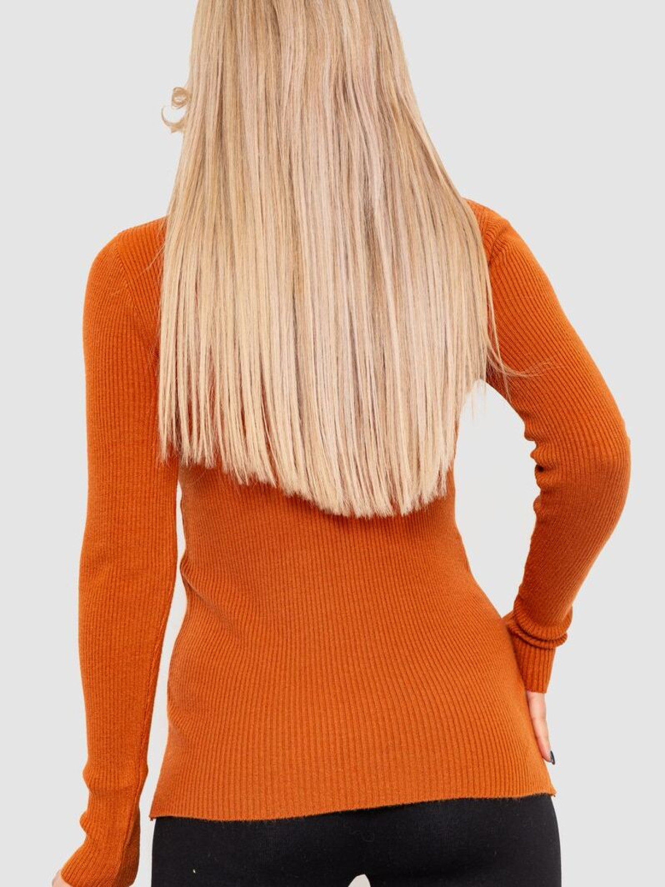 Водолазка Ager модель У-1127107::000000092 Фото