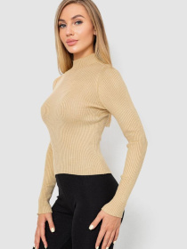 Водолазка Ager модель У-1130711::000000023 Фото