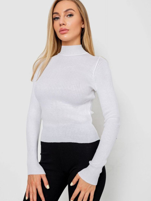 Водолазка Ager модель У-1130711::000000014 Фото