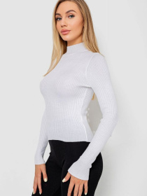 Водолазка Ager модель У-1130711::000000014 Фото