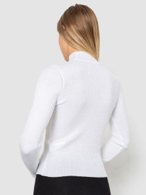 Водолазка Ager модель У-1130711::000000014 Фото