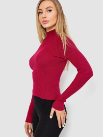 Водолазка Ager модель У-1130711::000000029 Фото