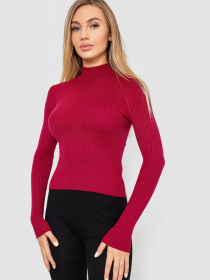 Водолазка Ager модель У-1130711::000000029 Фото