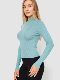 Водолазка Ager модель У-1130711::000000589 Фото