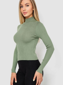 Водолазка Ager модель У-1130711::000000158 Водолазка Ager модель У-1130711::000000158 Фото