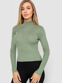 Водолазка Ager модель У-1130711::000000158 Водолазка Ager модель У-1130711::000000158 Фото